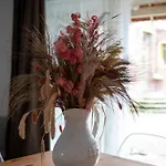 Bed & Breakfast Le Jardin-chambres D'hotes En Baie Cahon