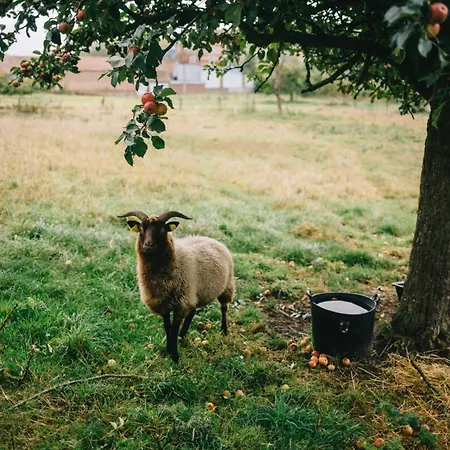 Le Jardin-chambres D'hôtes En Baie Cahon