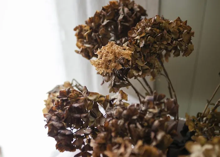 Le Jardin-chambres D'hôtes En Baie Couette-café